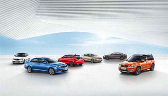 斯柯達(dá)品牌喜迎120周年 全球年銷量突破百萬 中國市場增長26%